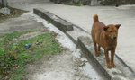 PICT0014