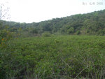 PICT0049