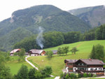 IMG_5377