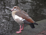 PICT0058