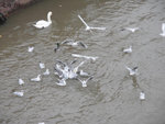PICT0159