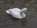 PICT0166