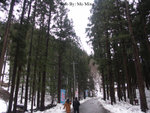 PICT4284