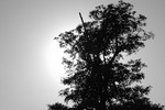 DSC_1060