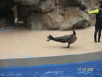 PICT0008