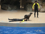 PICT0020