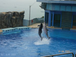 PICT0026
