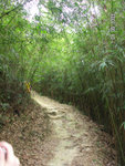 PICT0170