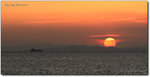 1IMG_7772