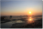 1IMG_7901