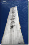 DPP_0254