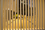 R0010166