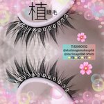 EYELASH BEAUTY HK,植眼睫毛,植眼睫毛服務,植眼睫毛推介,植眼睫毛介紹,