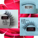 eyelash extension hk,植眼睫毛,植眼睫毛服務,植眼睫毛推介,植眼睫毛介紹,