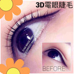 lashlift hk,電睫毛,電眼睫毛,
電睫毛香港,電眼睫毛香港,
