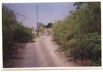 theｗａｙ　ｈｏｍｅ