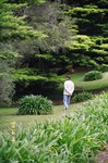 Pepper's Delgany's grounds