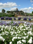 Barossa Valley