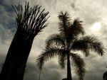Cairns