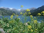 Heavenly Lake ,Urumqi