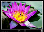 f003