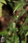 IMG_3980