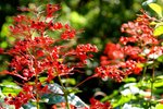 DSC06807