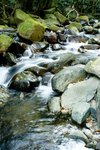 DSC06902