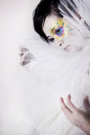 tl eye 002 ss