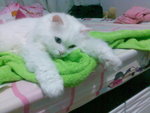 teddy041