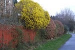 Manton Lane
