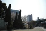 DSC_0012 (1)