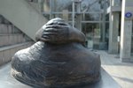DSC_0032 (1)