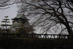 DSC_0093 (1)