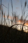 _MG_0536