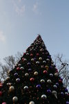 _MG_0696