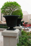 DPP_3507
