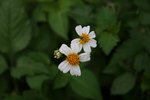 IMG_0573