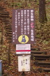 _IGP4894..1