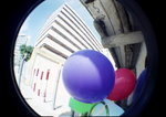 shek1a_大小