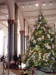 2007Jan02_Washington_189
