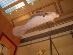 2007Jan02_Washington_212