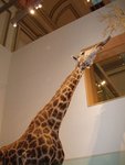 2007Jan02_Washington_214