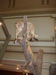 2007Jan02_Washington_215