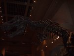 2007Jan02_Washington_222