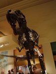 2007Jan02_Washington_224
