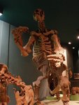 2007Jan02_Washington_226