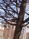 2007Jan03_Washington_023
