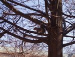 2007Jan03_Washington_024