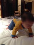 IMG_0513